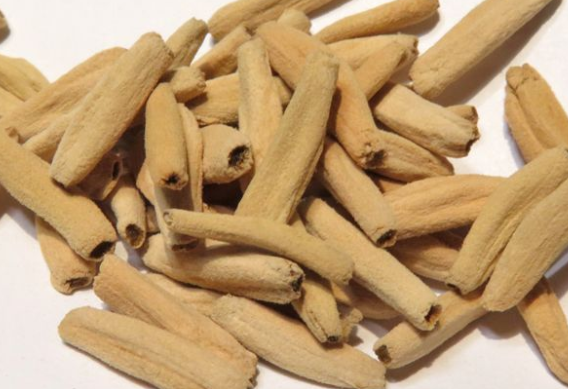 Adenium socotranum 7 Seeds