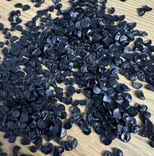 Agave titanota 10 Seeds