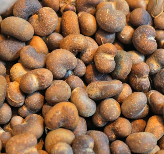Adansonia digitata 10 Seeds