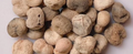 Adansonia Perrieri 10 Seeds
