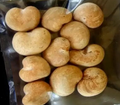 Adansonia gregorii 10 Seeds