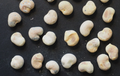 Adansonia Madagascariensis 10 Seeds